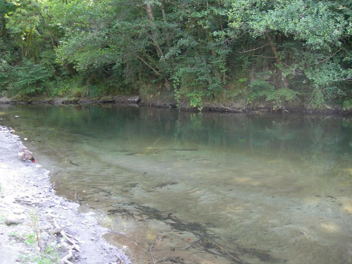 Appartement Les Rives De L'Ariege Luzenac Εξωτερικό φωτογραφία