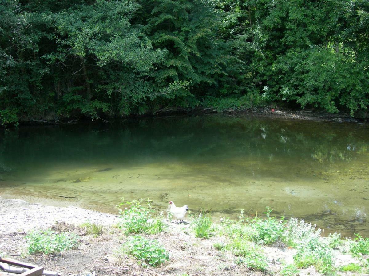 Appartement Les Rives De L'Ariege Luzenac Εξωτερικό φωτογραφία